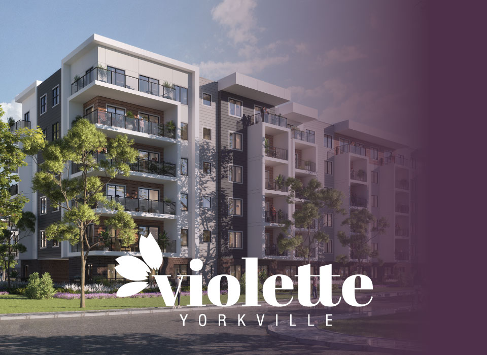 Violette by TRUMAN